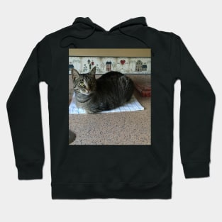 What You Mean It’s Not For Sits Hoodie